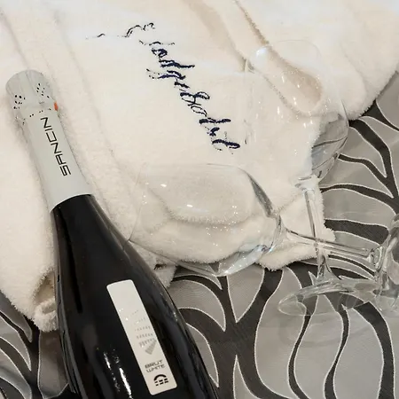 Alexander's Nest 公寓