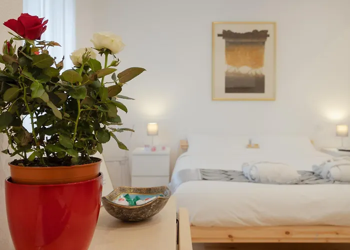 Alexander's Nest Daire *