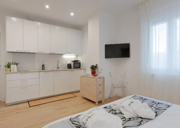 Alexander's Nest * Trieste